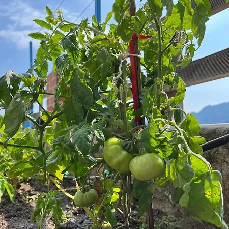 Villa Kule Degirmen Deniz Manzarali Tas Ev