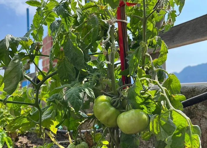 Villa Light House Kule , Degirmen Deniz Manzarali Tas